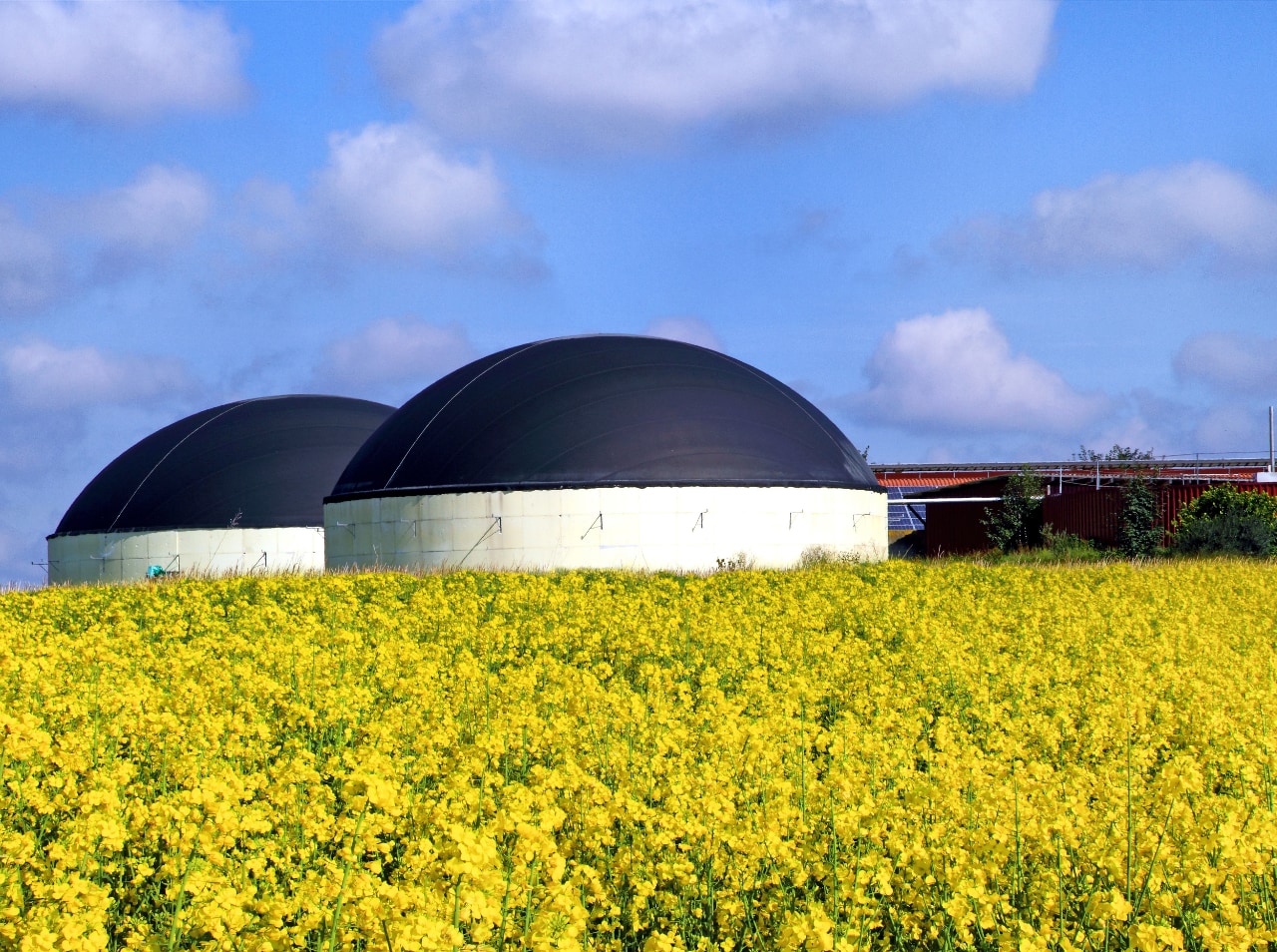 Biogas Nachhaoltigkeit