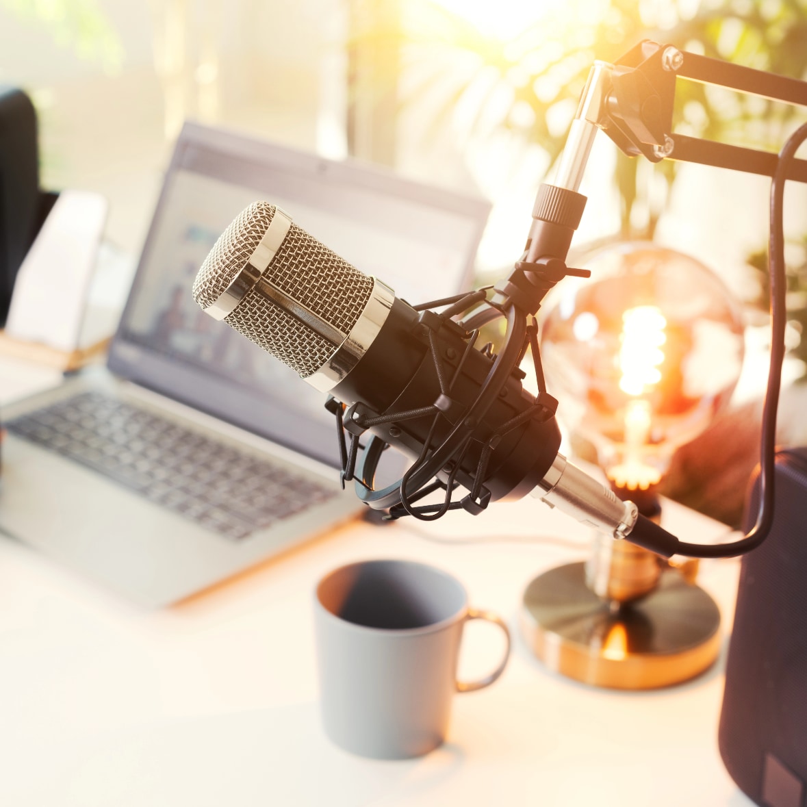 Finanzplanung für Streamer & Content Creator